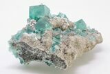 Cubic, Blue-Green Zoned Fluorite Crystals on Quartz - China #197170-1